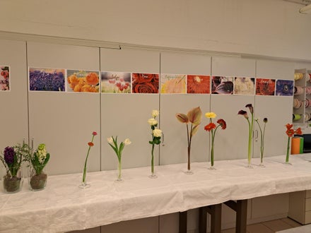 verschiedene Frischblumen und deren Wasseransprüche