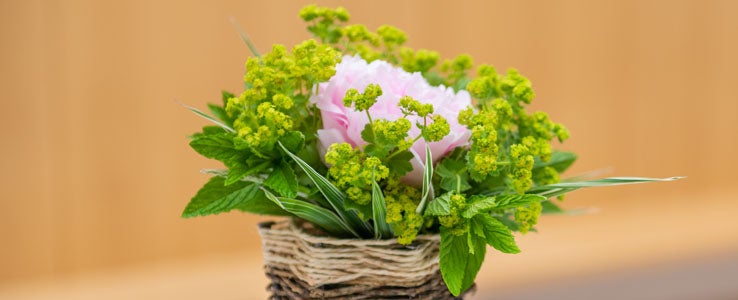 Dekoration mit Frischblumen