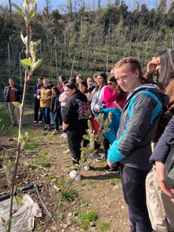 Schülerinnen besichtigen den Hof des Wandels in St Pauls und erhalten Informationen zur Permakultur.