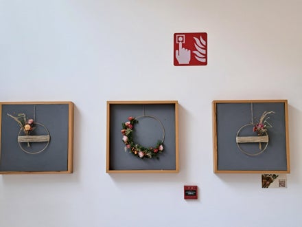 Wandbilder mit Trockenblumen