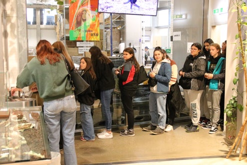 Betriebsbesichtigung bei Zotter Schokolade