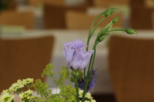 Vase mit Frischblumen