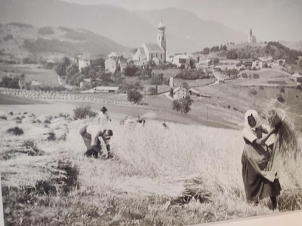 Bild Landwirtschaft früher