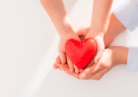 Ruce dítěte a dospělého člověka držící červené srdce. 