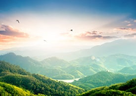 Zielone wzgórza z drzewami i rzeką w oddali