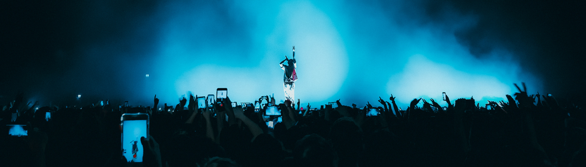 poziome zdjęcie z koncertu - tłumy fanów i gwiazda rocka