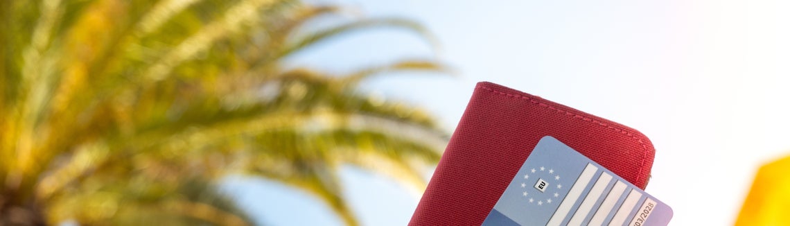 Detail peněženky a evropského průkazu pojištěnce