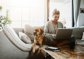 Žena sediaca na gauči s notebookom a psom