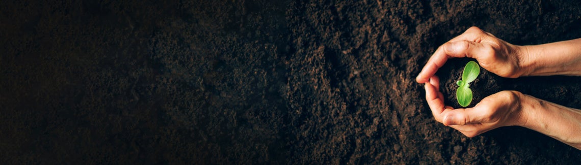 Detail hnědozemě a rukou ochraňujících rostlinu 