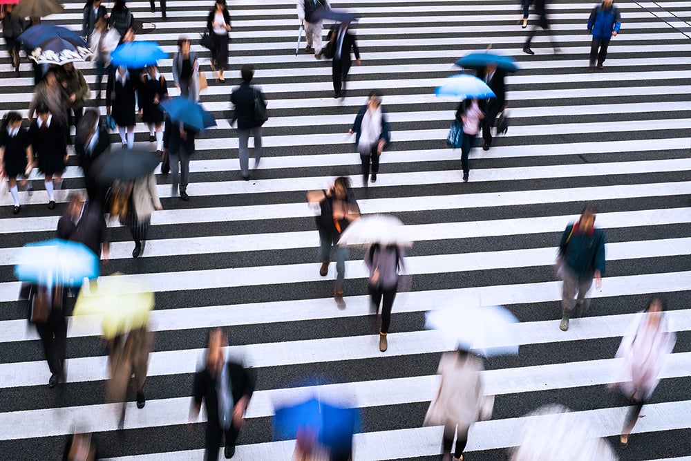 dentsu Consumer Navigator Report