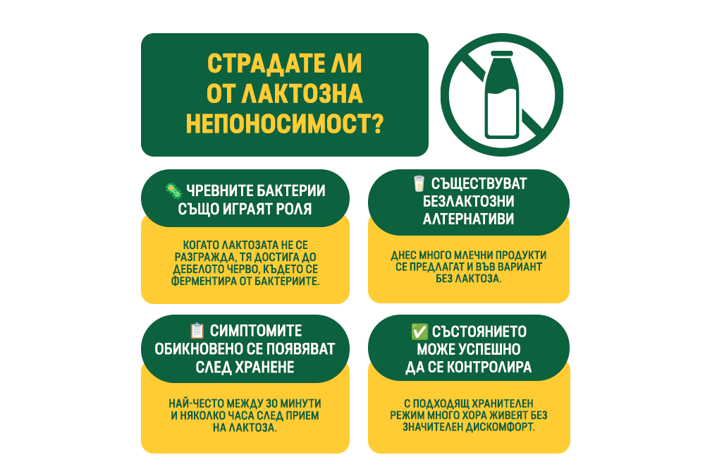 СТРАДАТЕ ЛИ ОТ ЛАКТОЗНА НЕПОНОСИМОСТ?
Чревните бактерии също играят роля

Когато лактозата не се разгражда, тя достига до дебелото черво, където се ферментира от бактериите.
Съществуват безлактозни алтернативи

Днес много млечни продукти се предлагат и във вариант без лактоза.
Симптомите обикновено се появяват след хранене

Най-често между 30 минути и няколко часа след прием на лактоза.
Състоянието може успешно да се контролира

С подходящ хранителен режим много хора живеят без значителен дискомфорт.