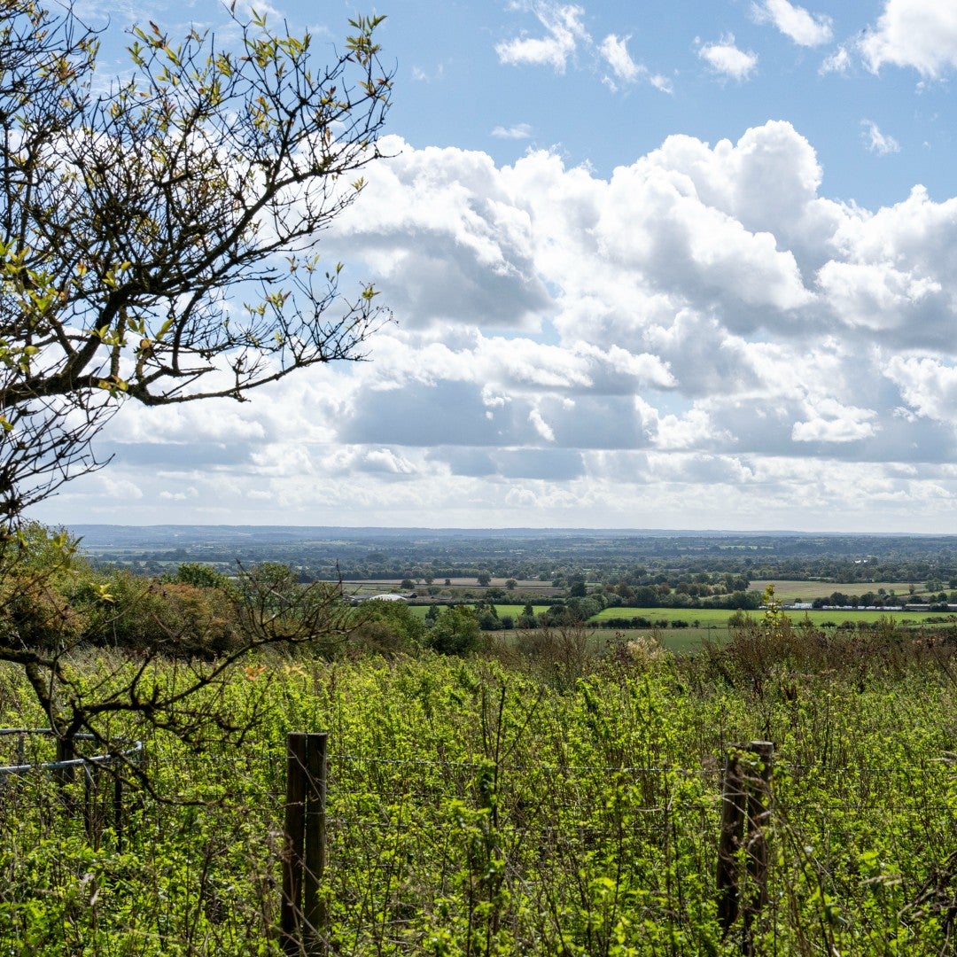 View across open Buckinghamshire countryside near Oakley, the village setting for Hedges Farm.