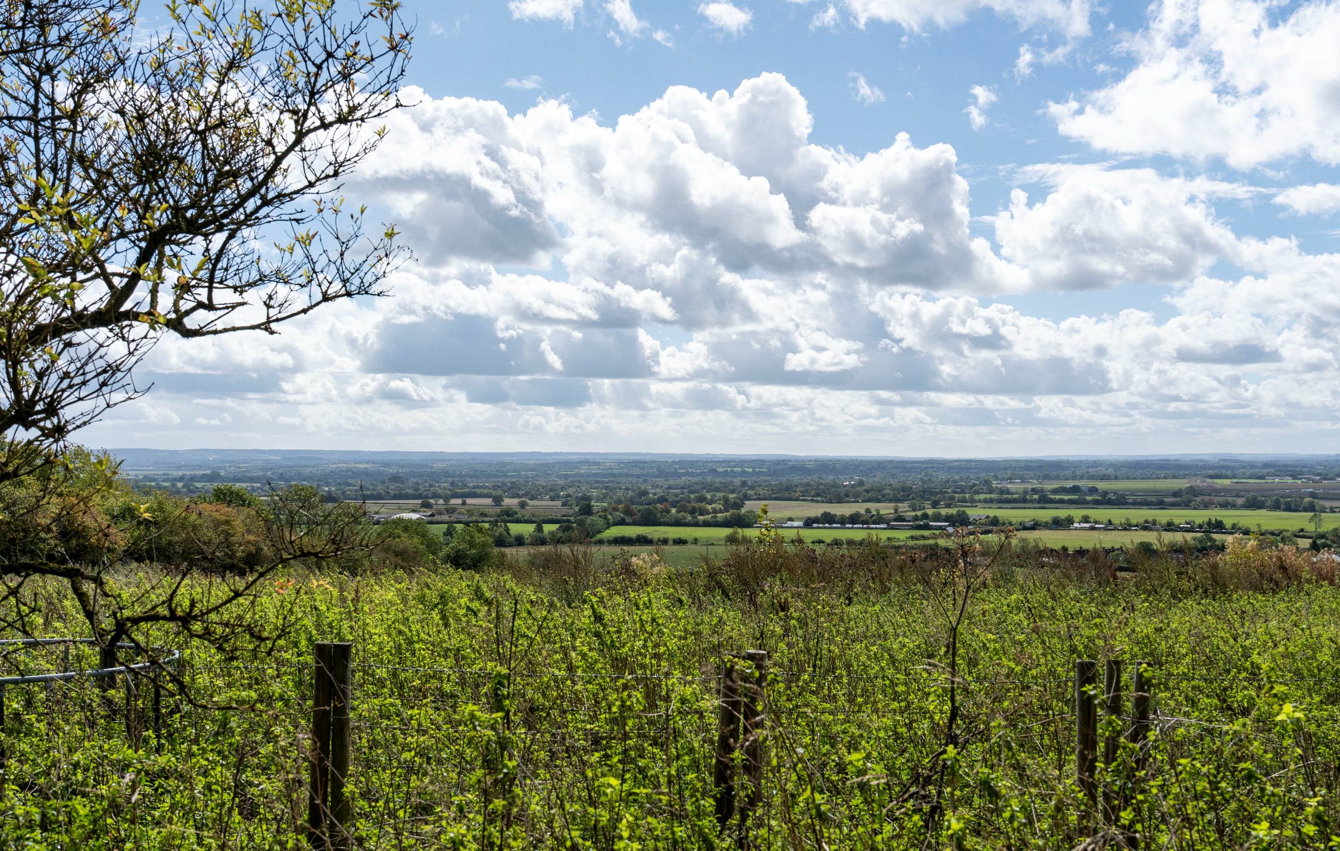 View across open Buckinghamshire countryside near Oakley, the village setting for Hedges Farm.