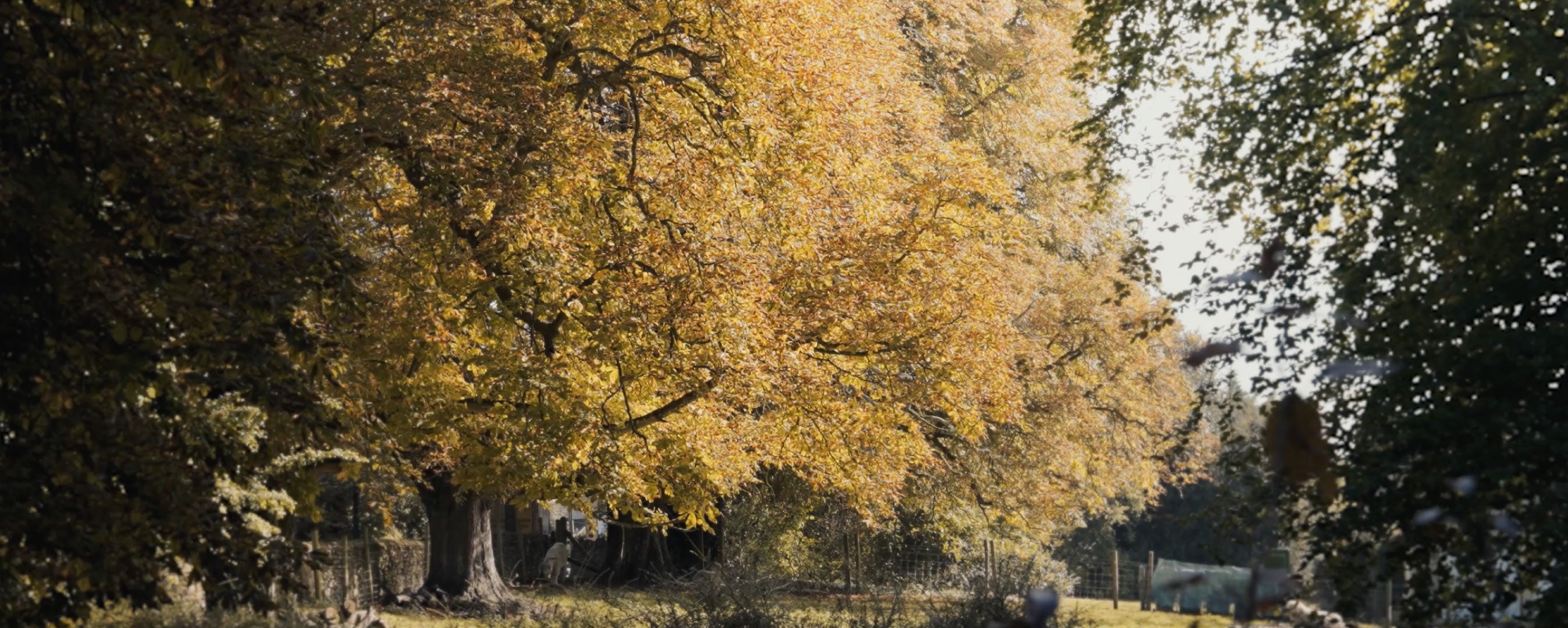 middle barton hero image north oxfordshire new homes in the cotswolds