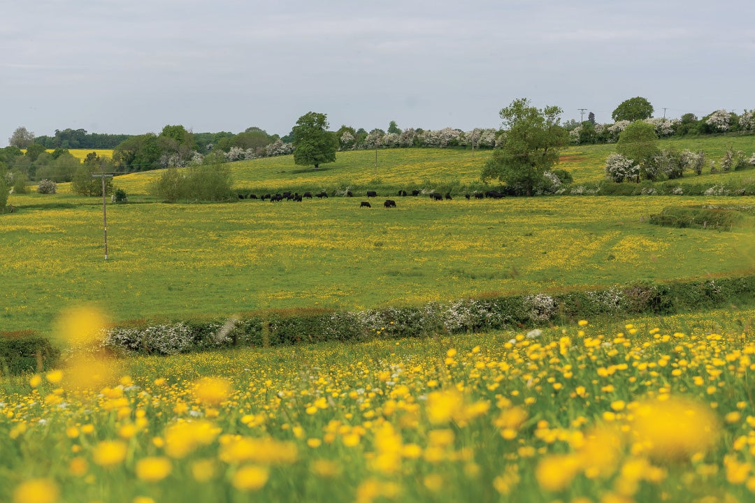 Activities in Adderbury Hayfield Manor New Homes Breckon & Breckon