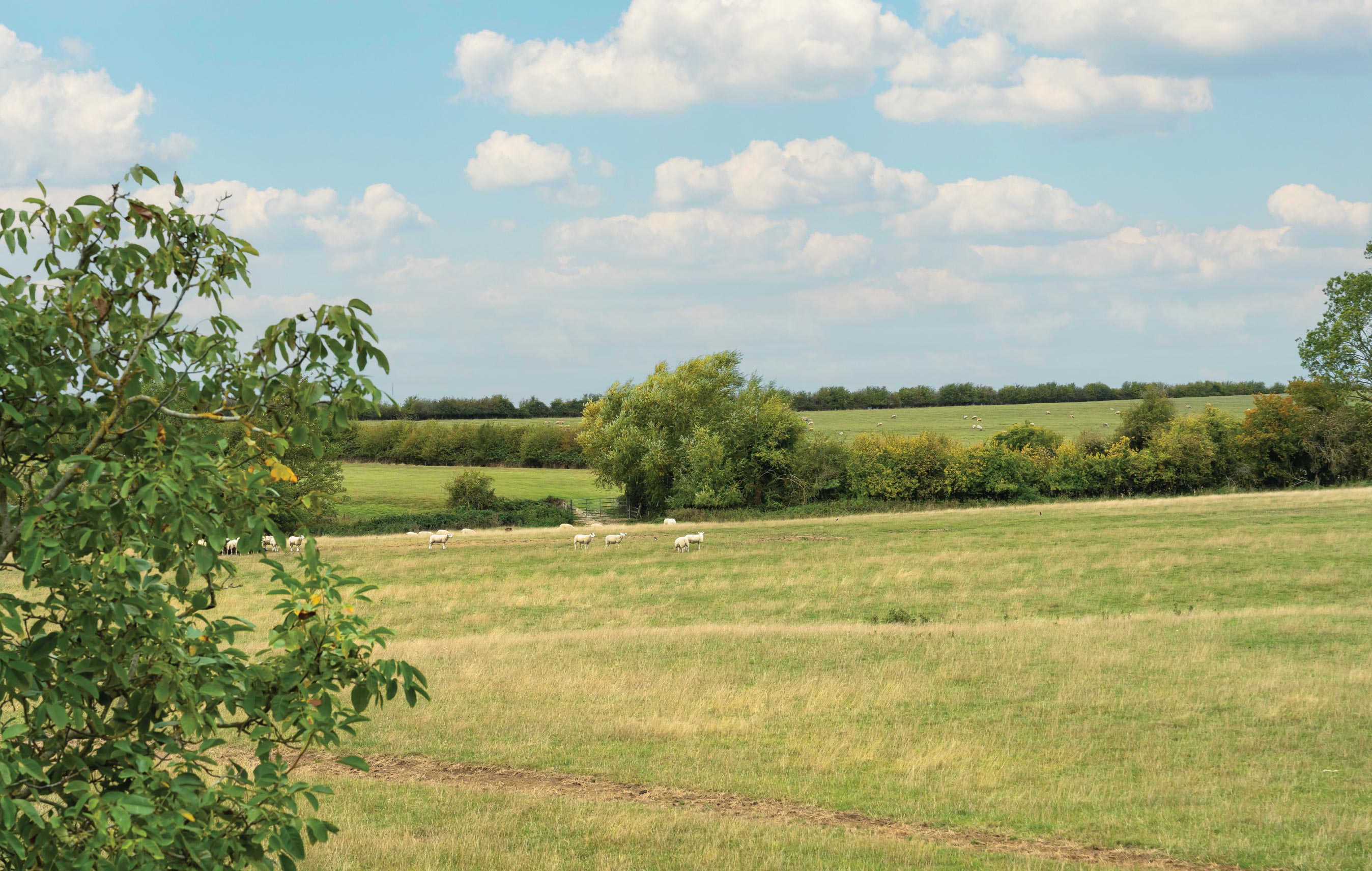 new homes in buckinghamshire