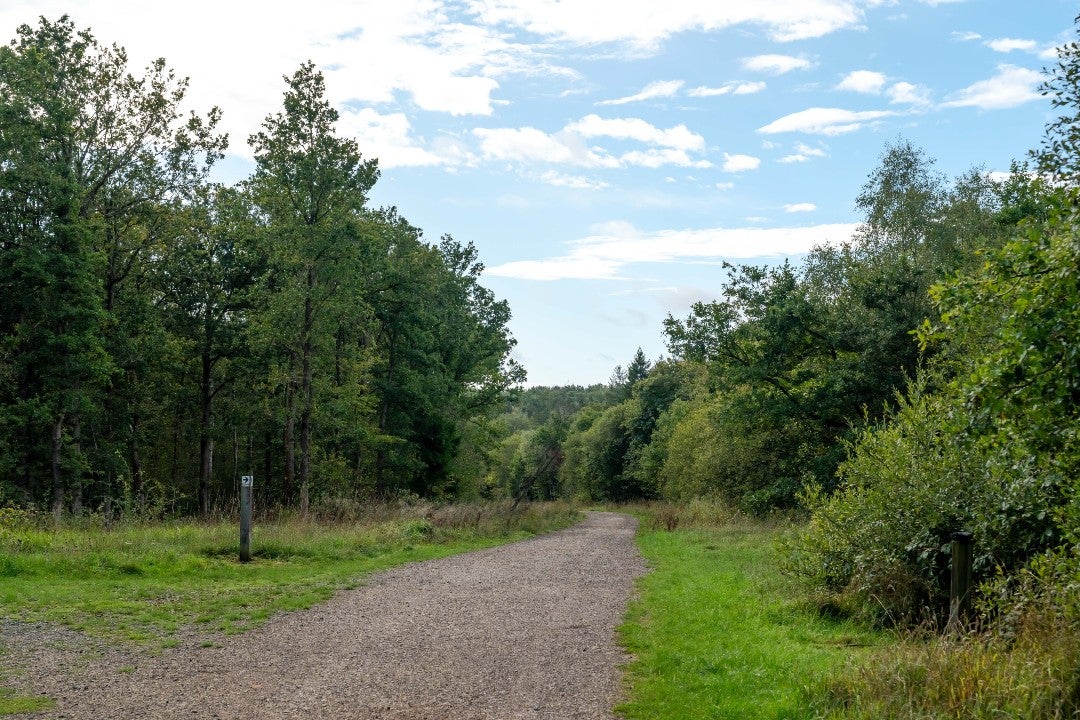 Woodland walking route through the countryside surrounding Oakley in Buckinghamshire.