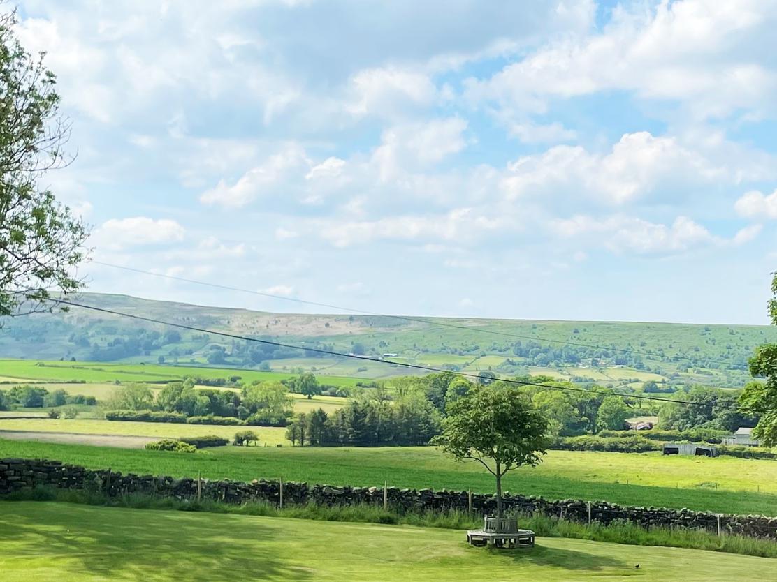 property image-21