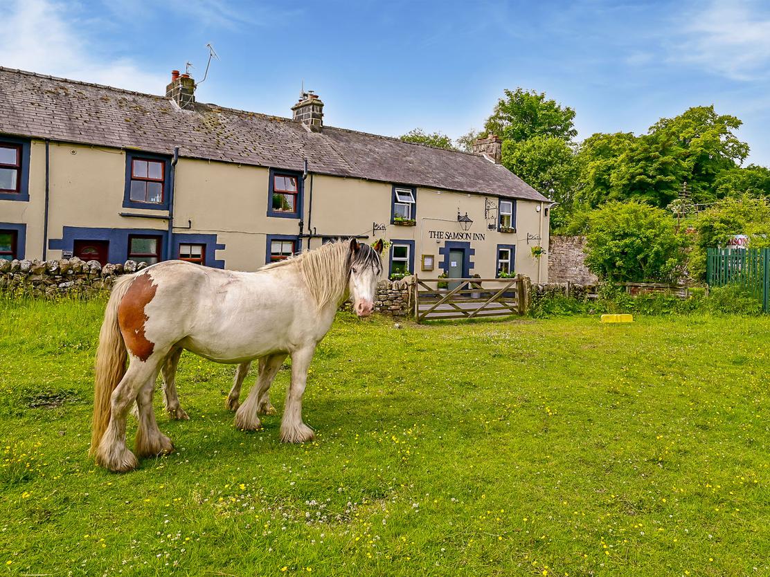 property image-20