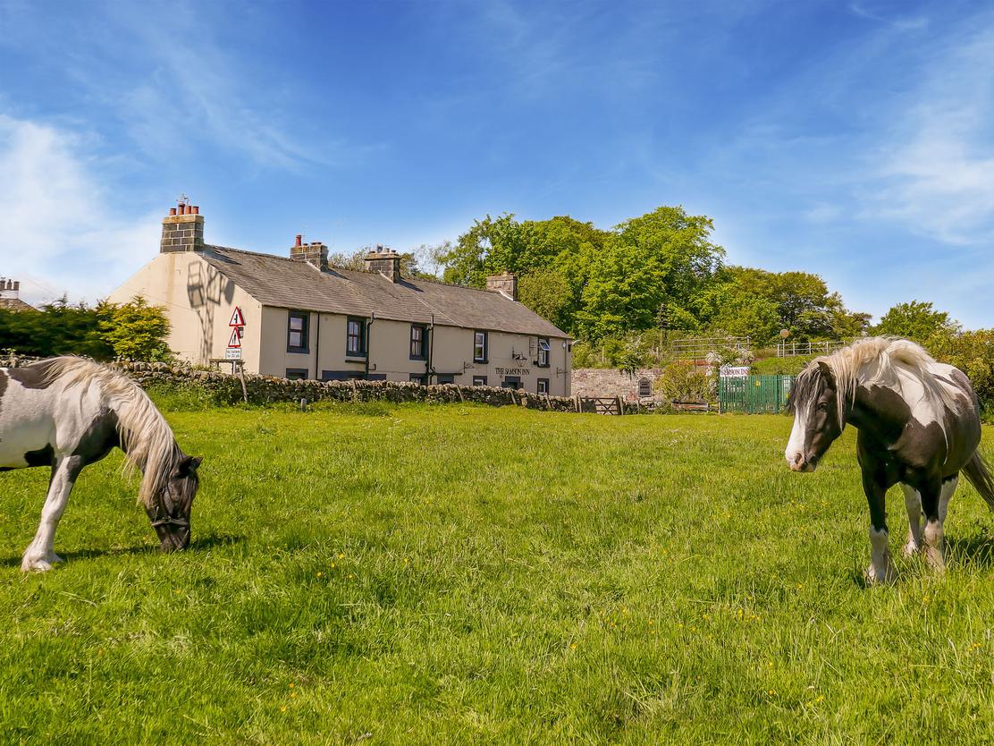property image-1