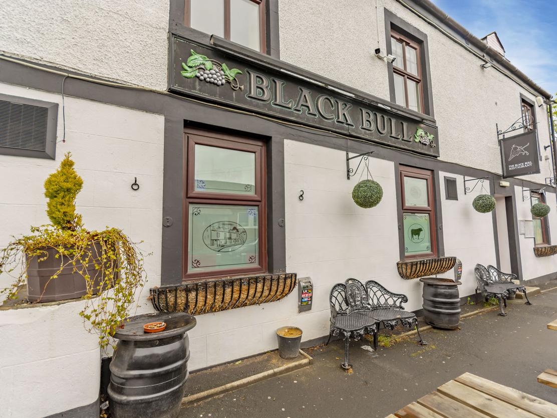 Black Bull