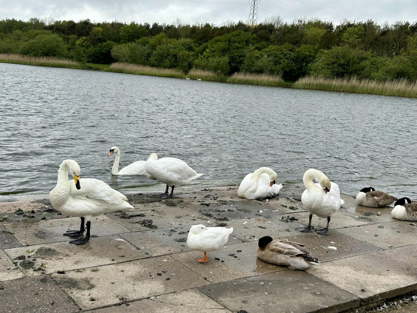 property image-23