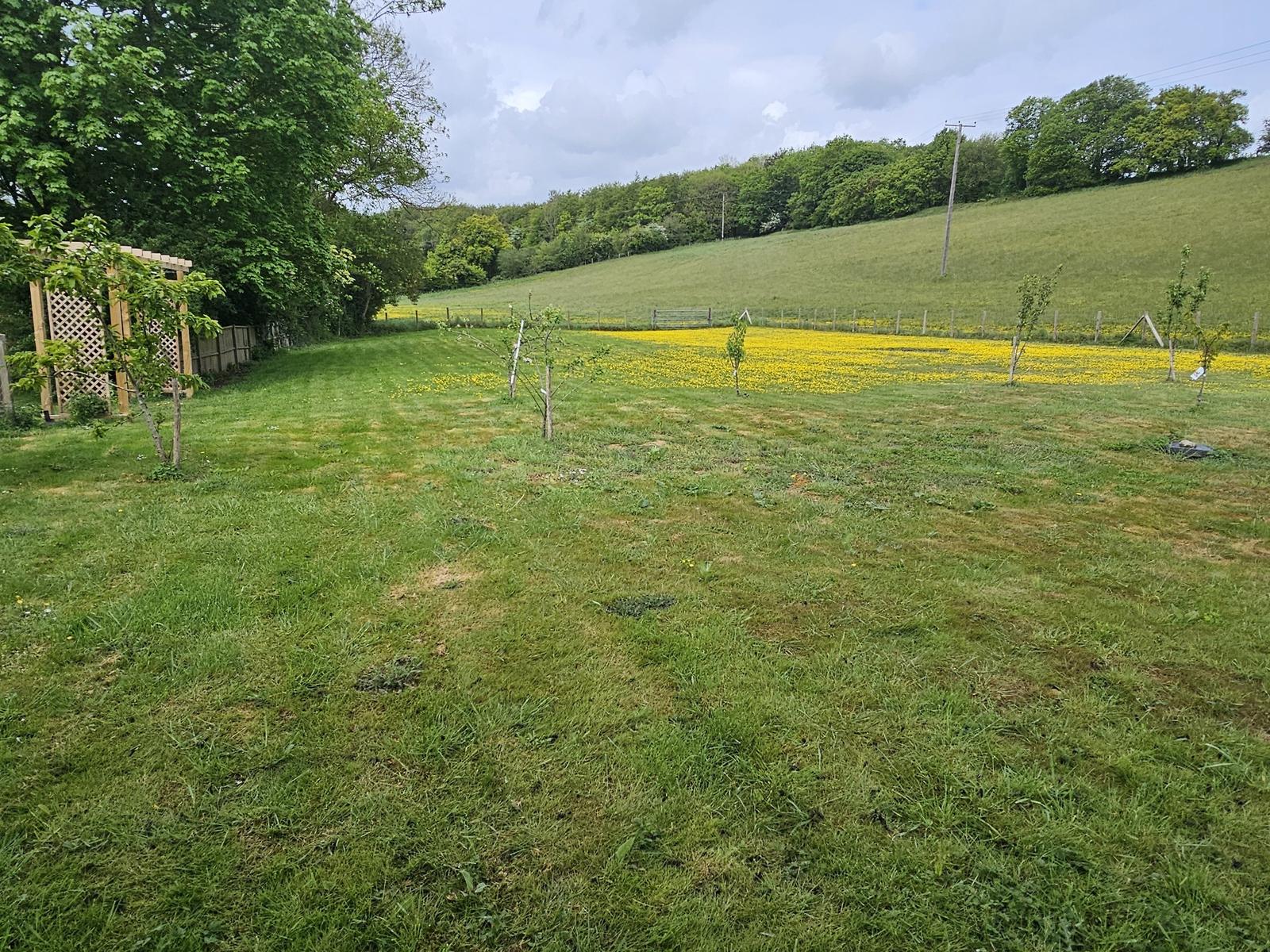 property image-7