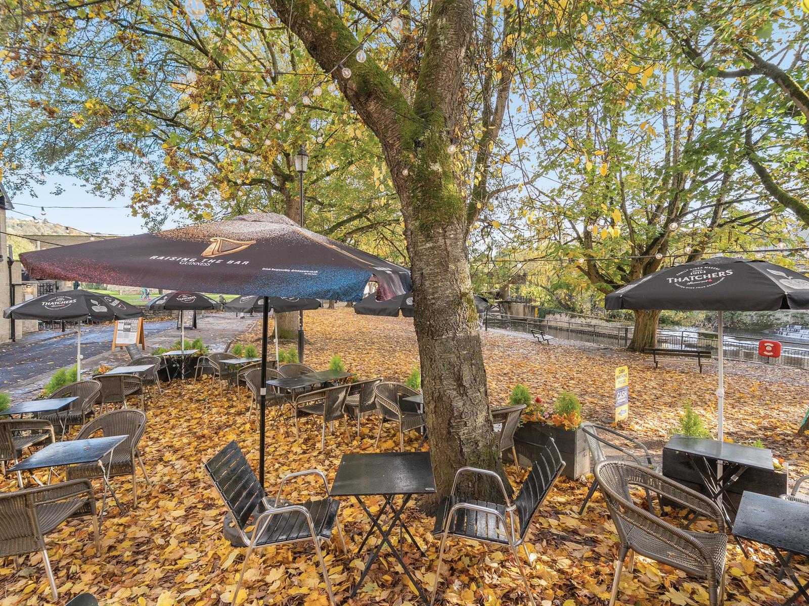 property image-2