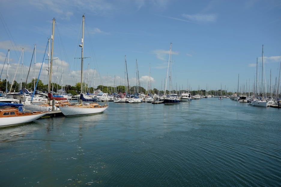 Marina with boats on a river.