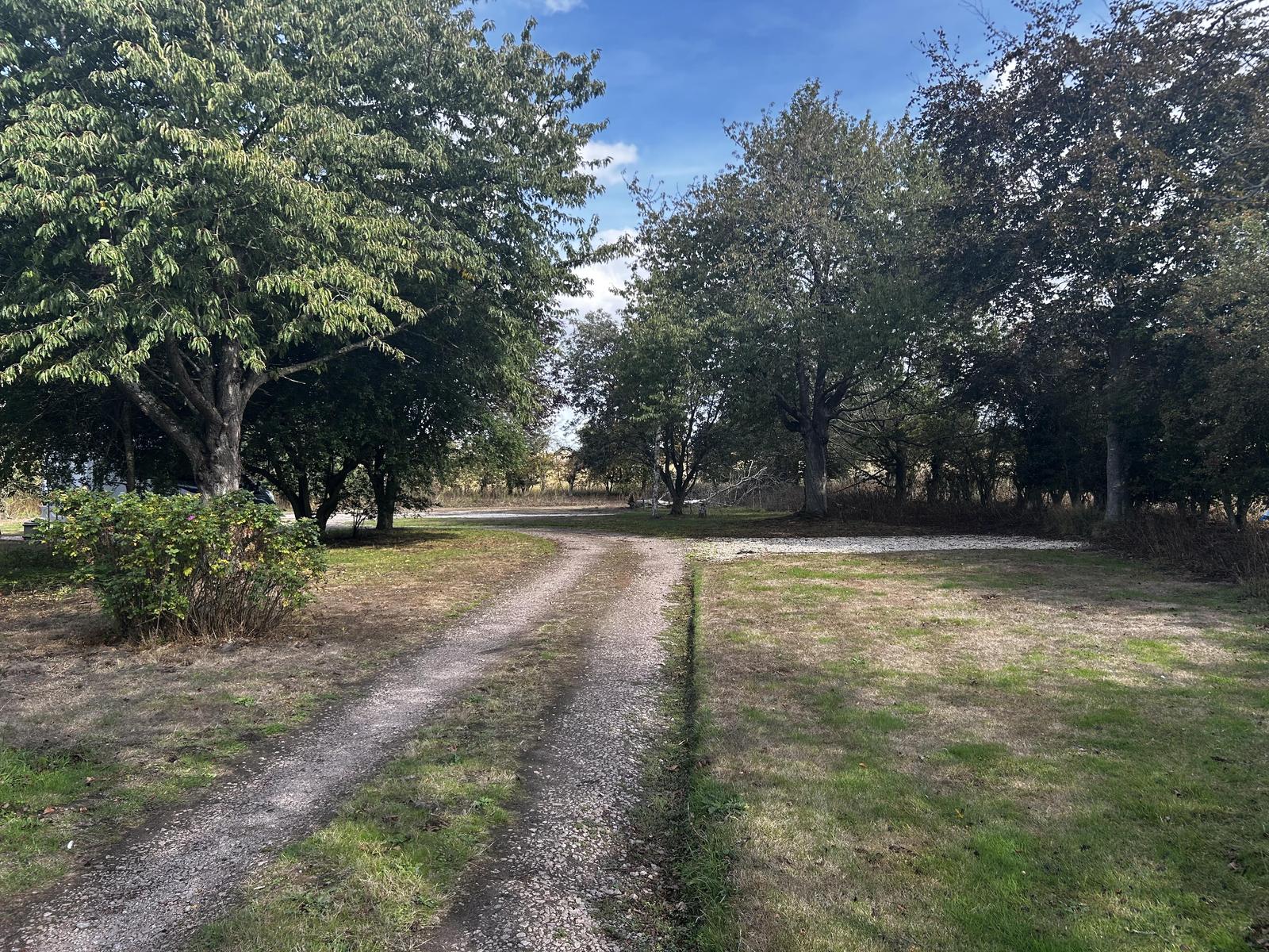 property image-23