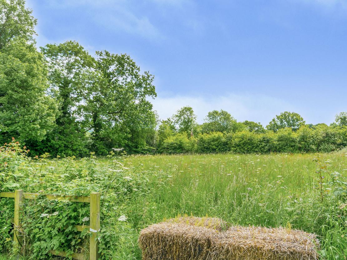 property image-12