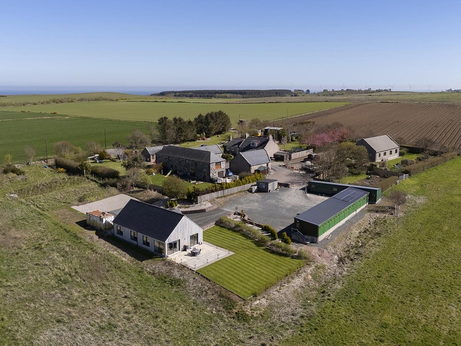 Frogmore Cattery