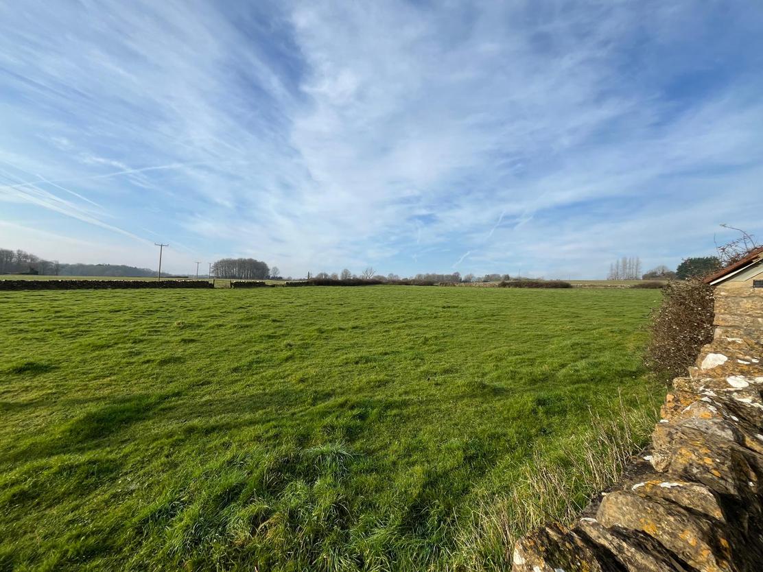 property image-16