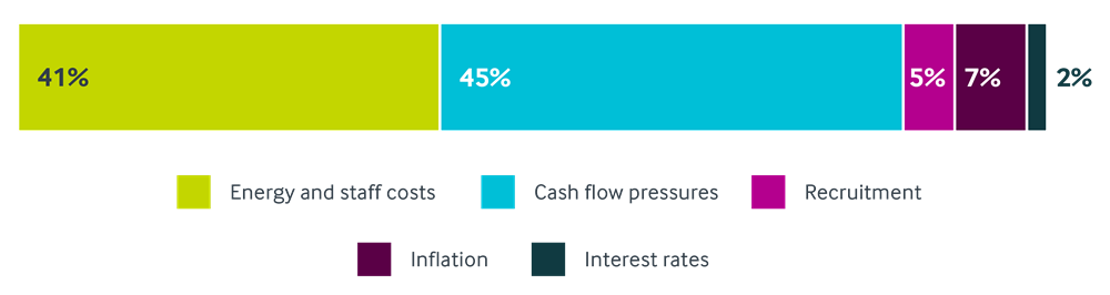 Graph showing the main business challenges in the pharmacy market, from Christie & Co's Pharmacy Market Review 2025