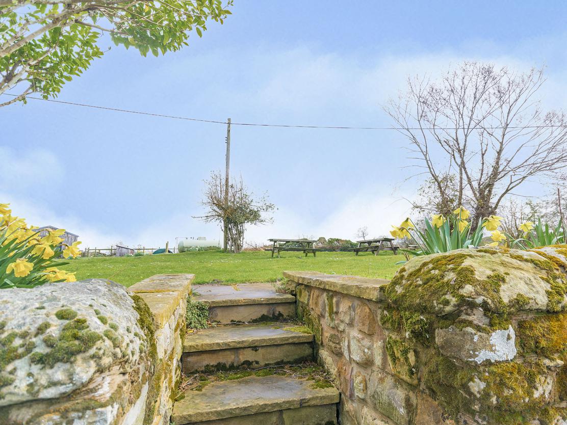 property image-20