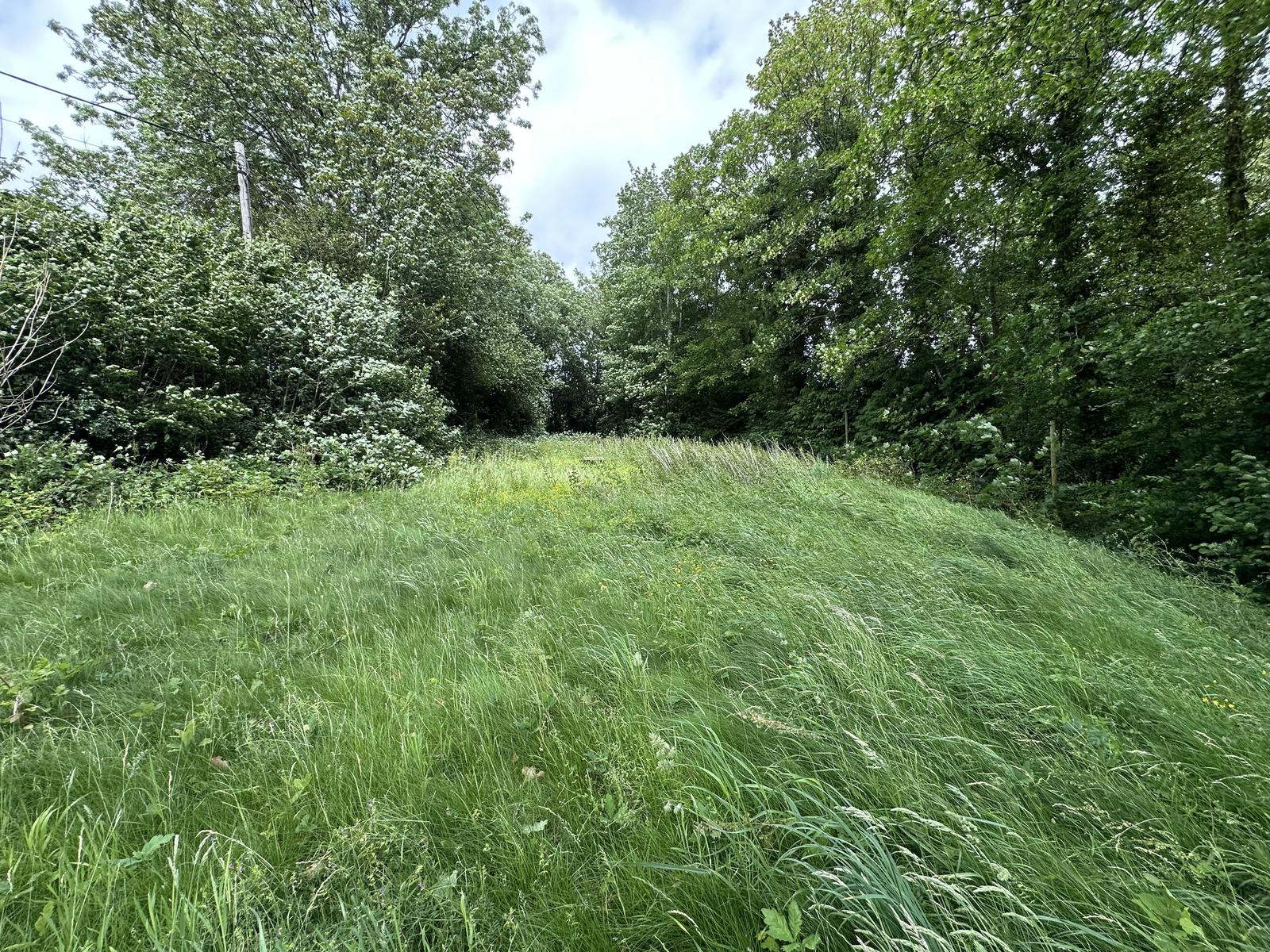 property image-12