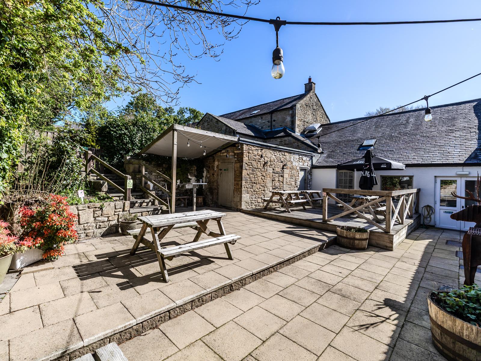 property image-21
