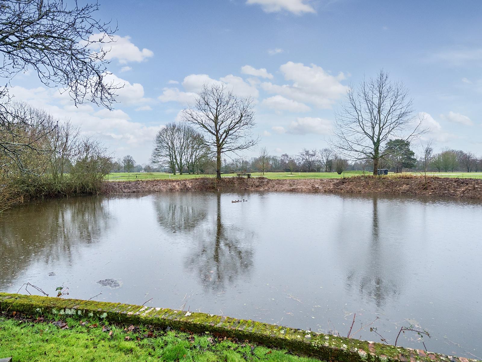 property image-12