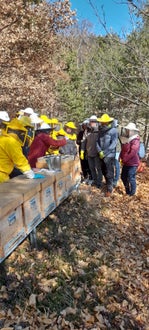 FC: corso apicoltori - lezione davanti alle arnie