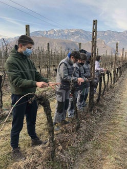 Legatura capo a frutto al filo, alunni  classe I  