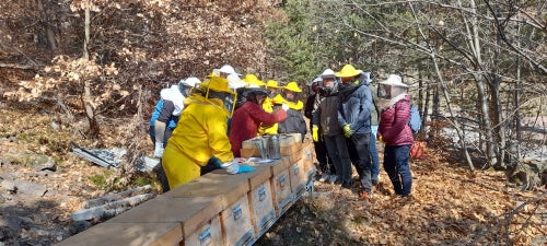 FC: corso apicoltori - lezione al gruppo di corsisti