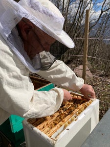 apicoltore aprile 2024