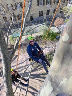 FC corso Tree climbing operatore sospeso  in salita con fune
