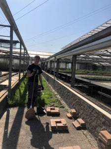 Stage 2022 - al lavoro in serra (Floricoltura Schullian)