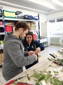 laboratorio: composizione gadget e decorazioni con materiali di riciclo e naturali 