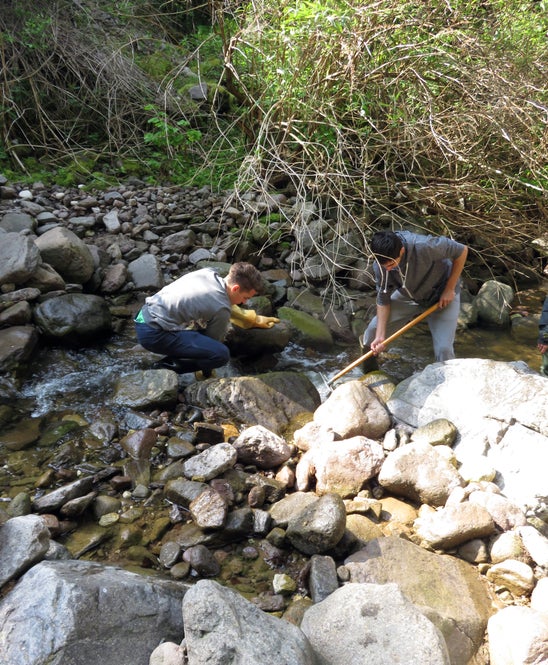 Raccolta campioni per analisi qualità acqua