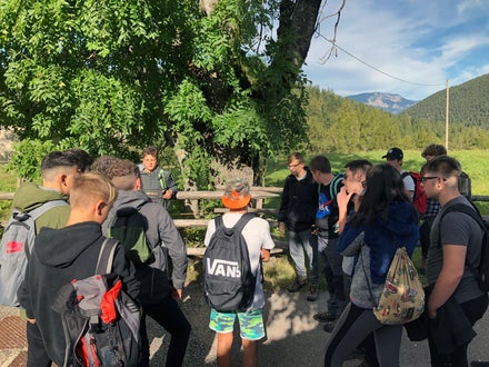 Progetti La prima nel bosco - escursione con riconoscimento piante