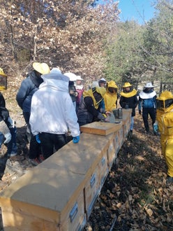 FC: corso apicoltori - lezione all'aperto con le arnie