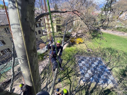 FC: corso Tree climbing esercitazione salita con funi