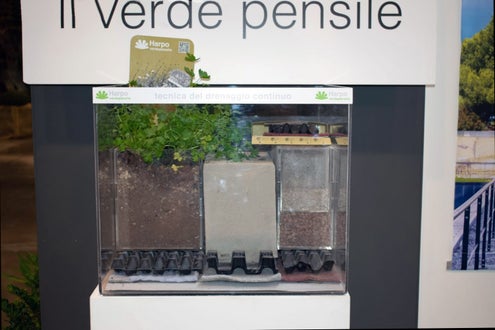 Flomart: vetrina con esposizione di campioni per illustrare il verde pensile